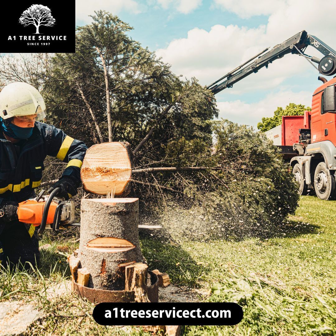 A1 Tree Service