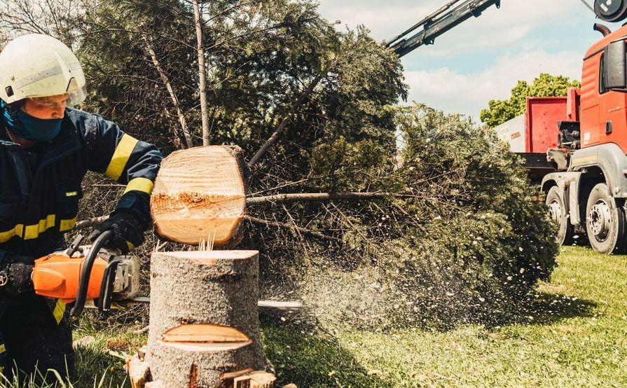 A1 Tree Service