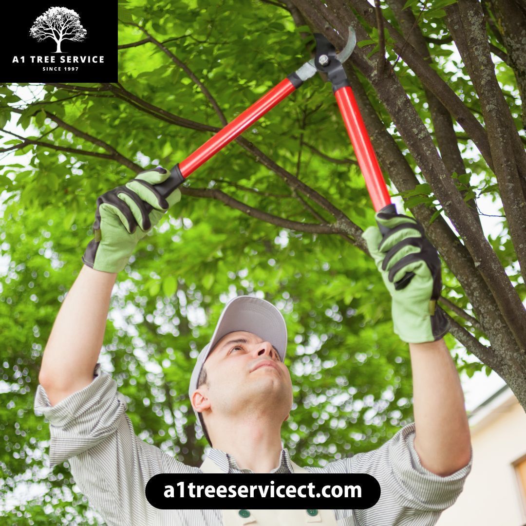 A1 Tree Service