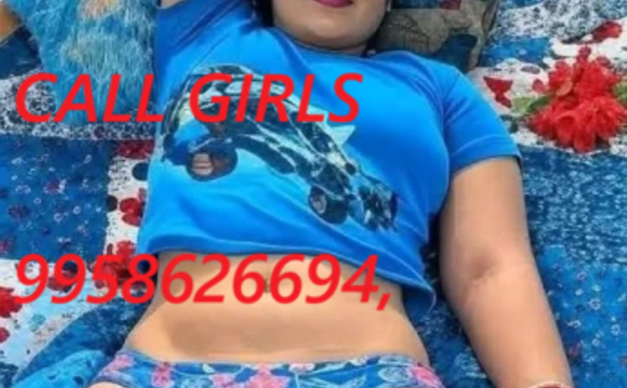 Call Girls In Netaji Subhash Place Delhi NCR | +91⧼9958╰62╯6694⧽|