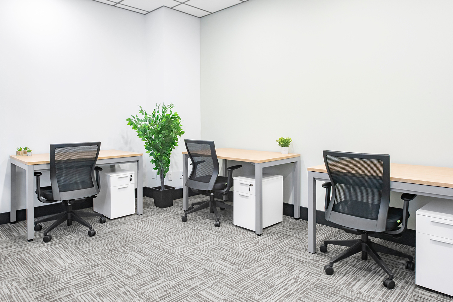 3 Person Private Office