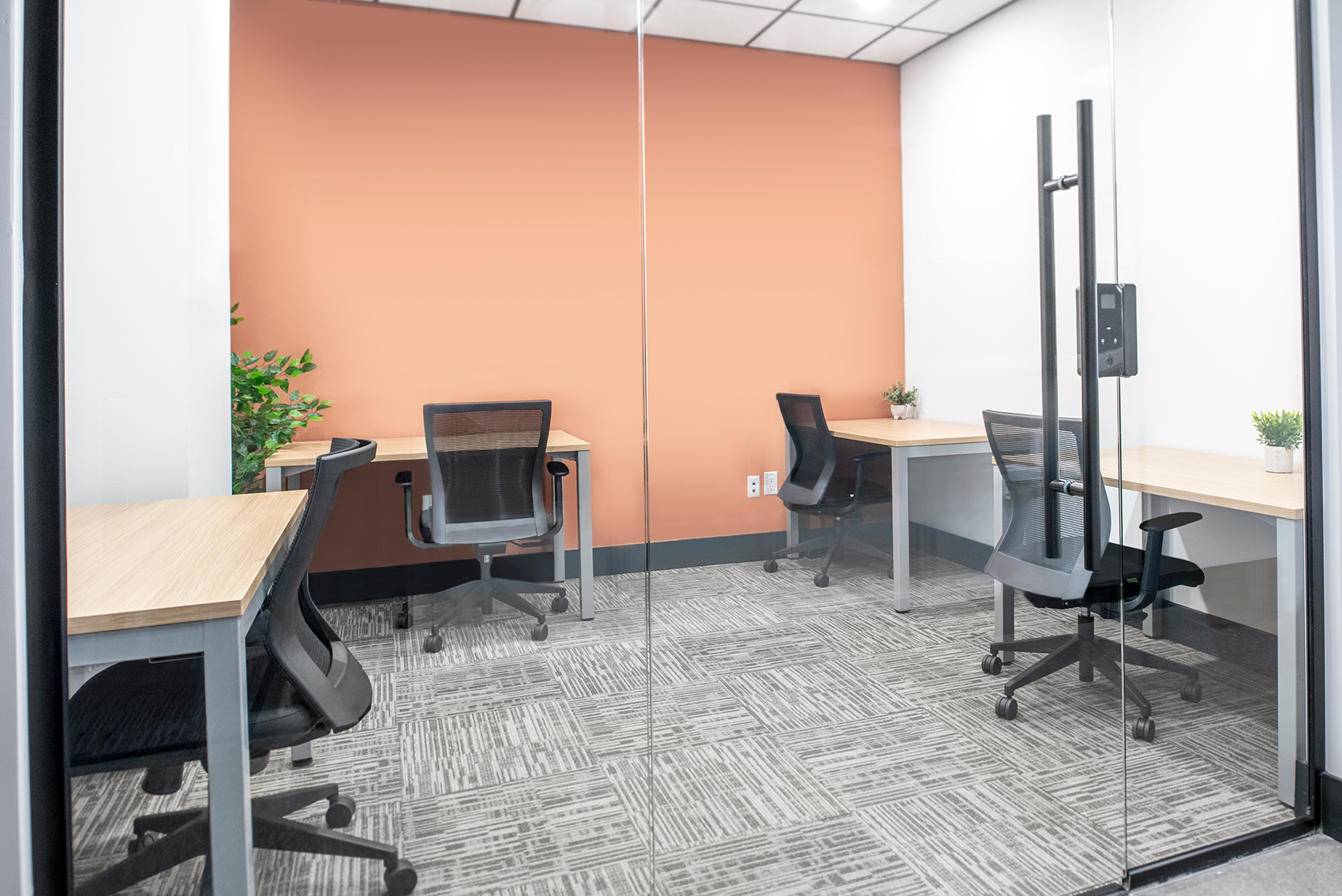 4 Person Private Office