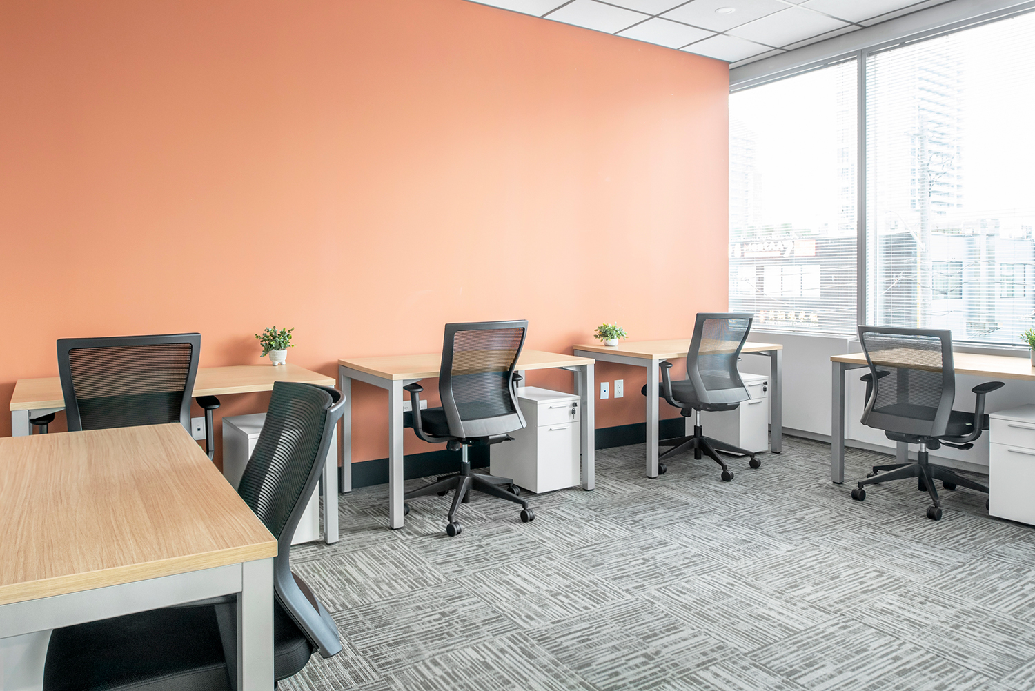 5 Person Private Office