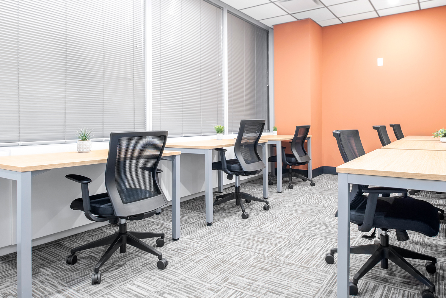 6 Person Private Office