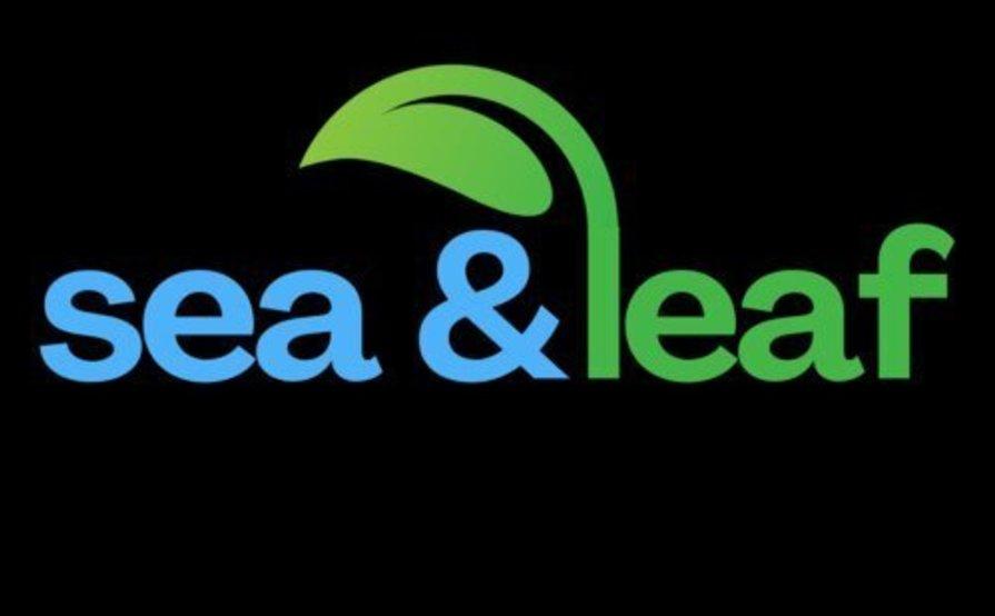 Sea And Leaf