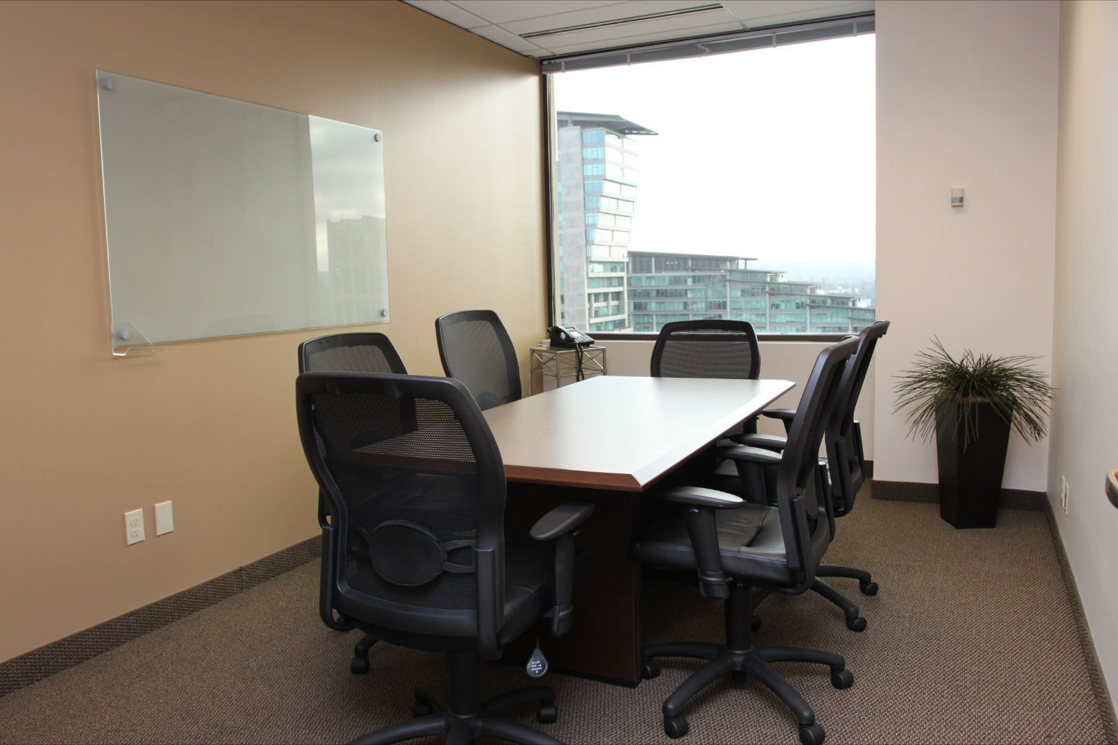Medium Conference Room