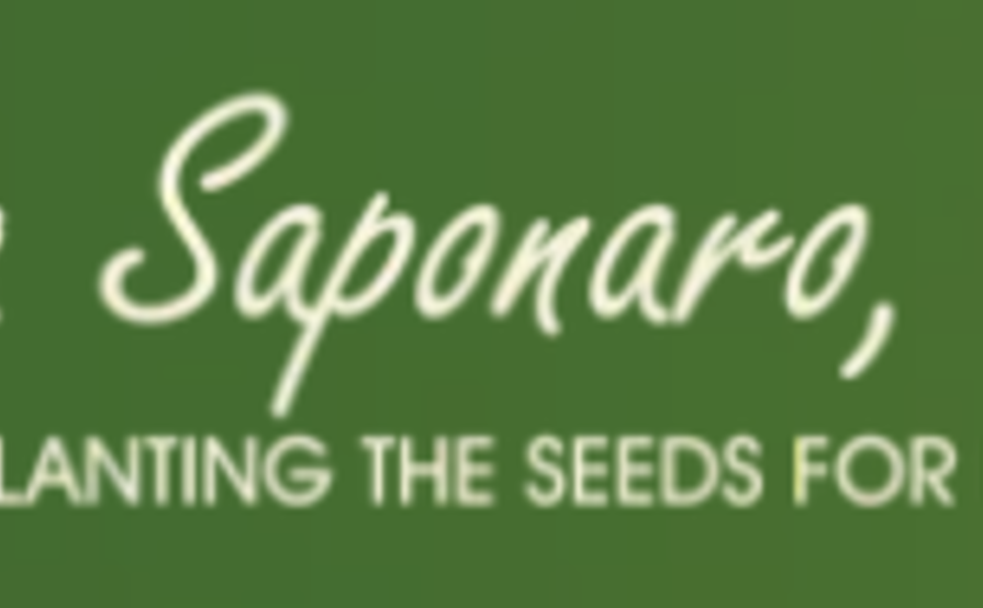 lsaponaro