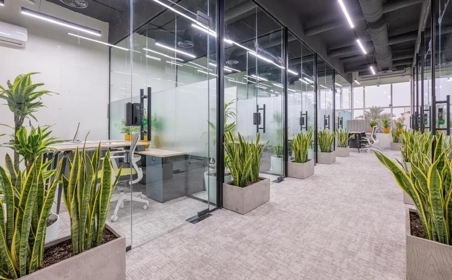 Shared Desk - Hourly or Daily