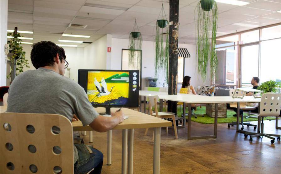 Engineroom Darlinghurst Shared Casual Desk Desks Near Me