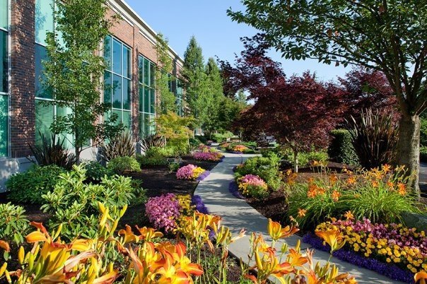 Executive Support Center