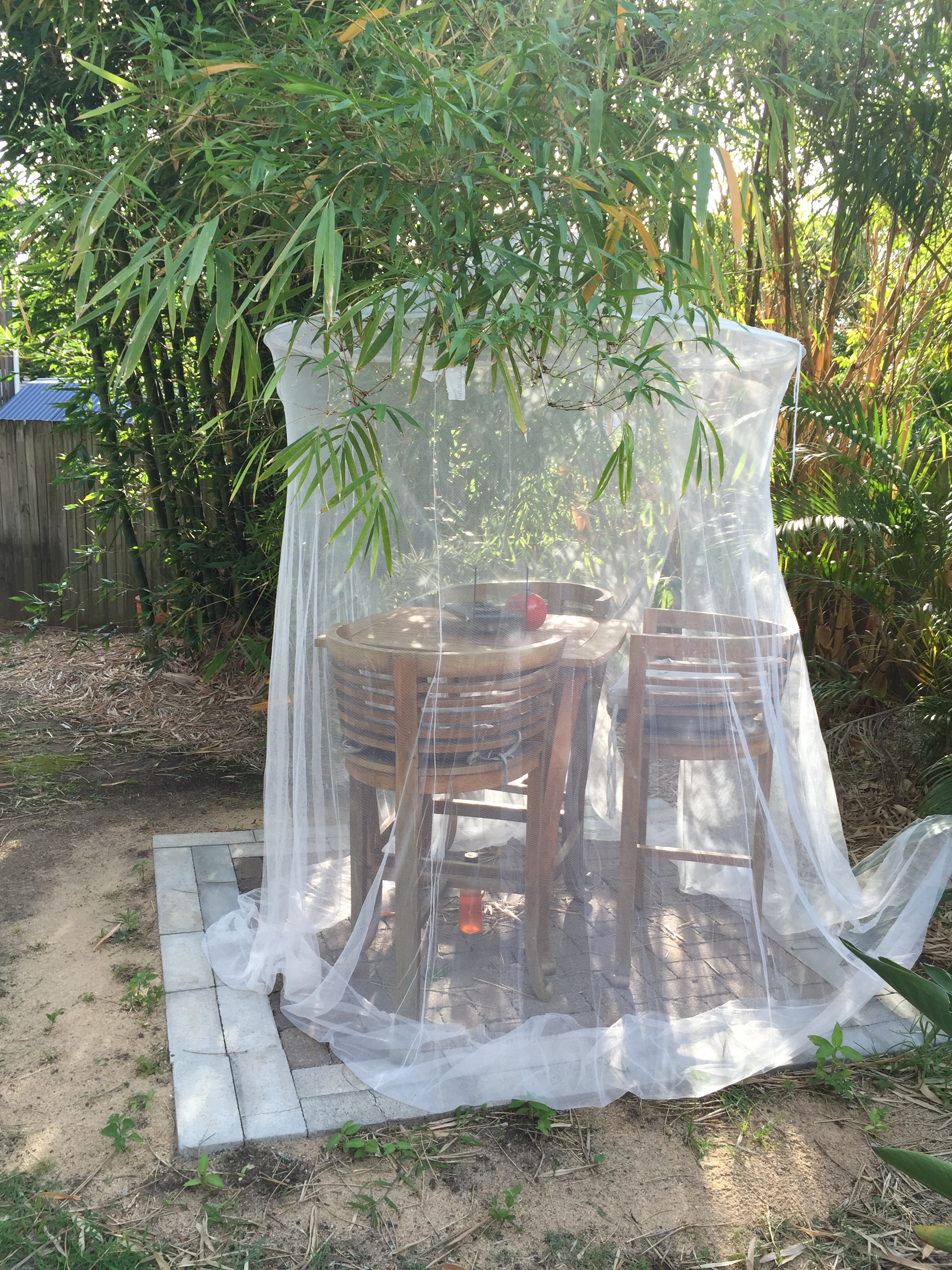 Bamboo Business Studio