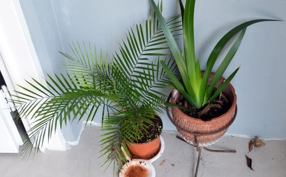 Coworking Urquiza Arriba Coworking Urquiza Arriba