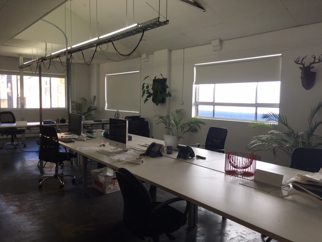 Affordable, Fabulous & Central Office Space in Chippendale