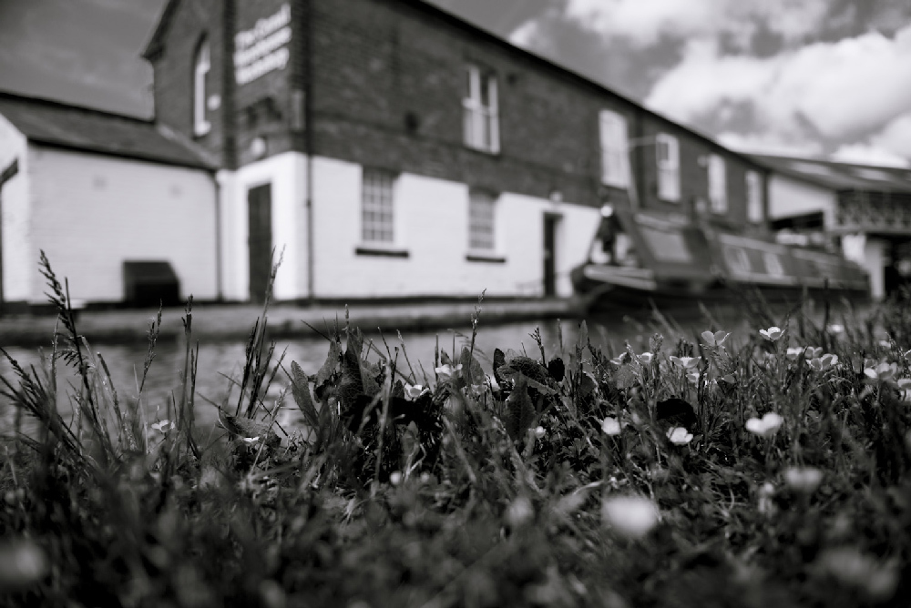 Coworking Shared Desk