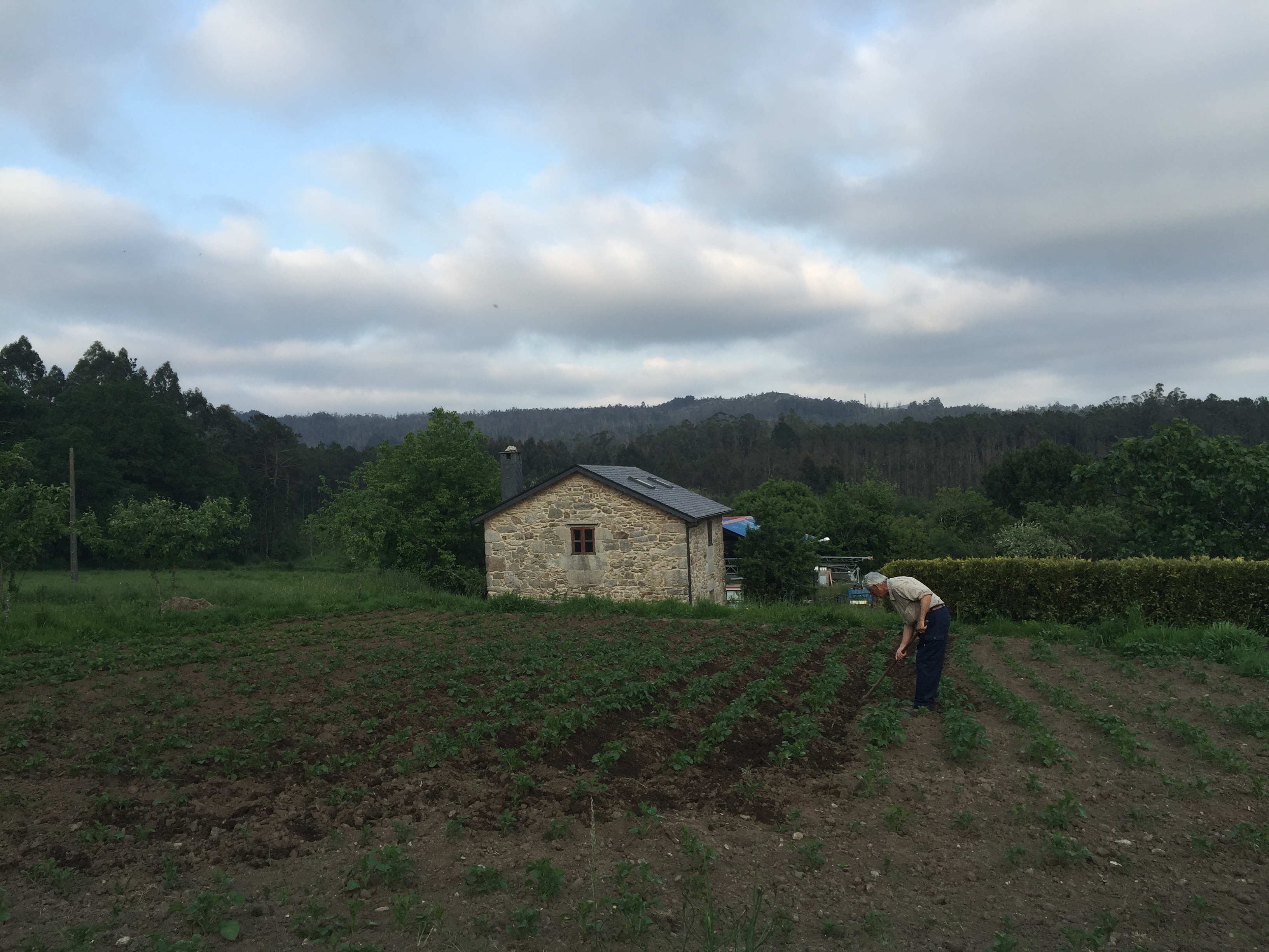 Digital Nomads Monfero