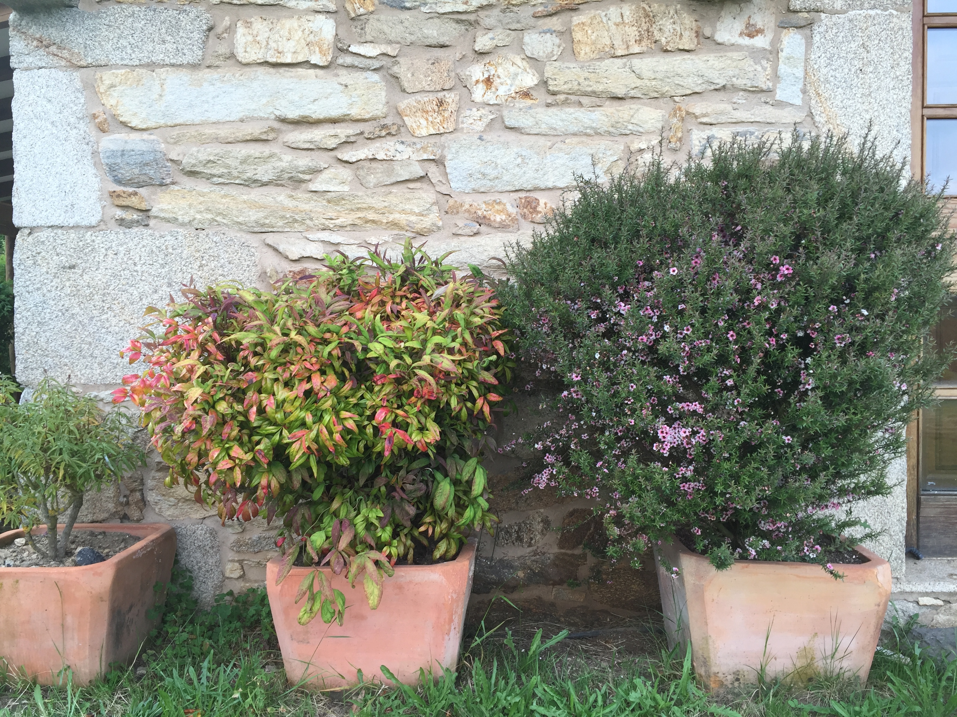 Digital Nomads Monfero