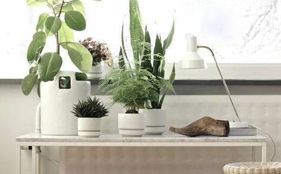 Massage Greenpoint Massage Greenpoint