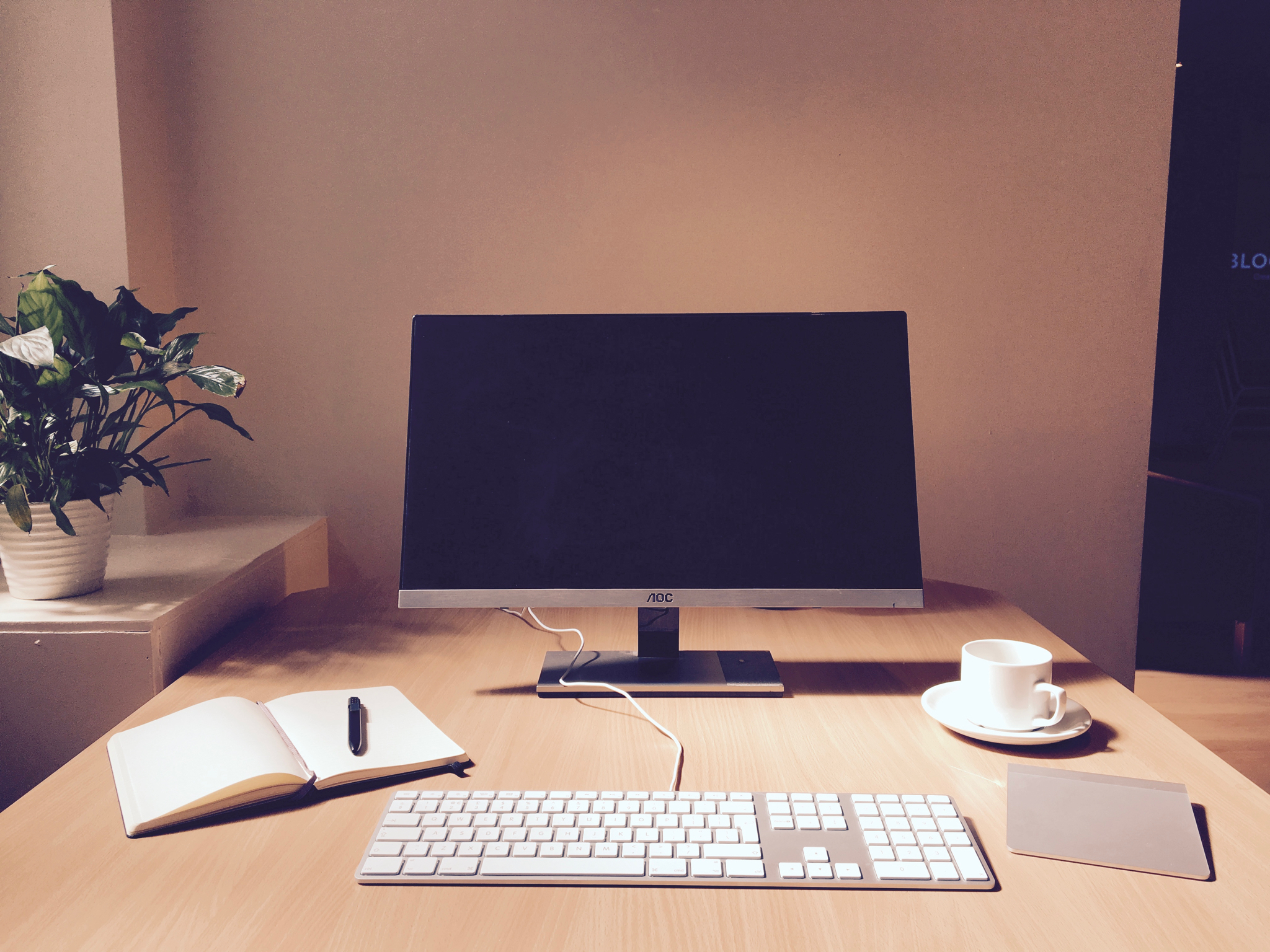 BLOOM.SPACE Gower Street BLOOM.SPACE Gower Street