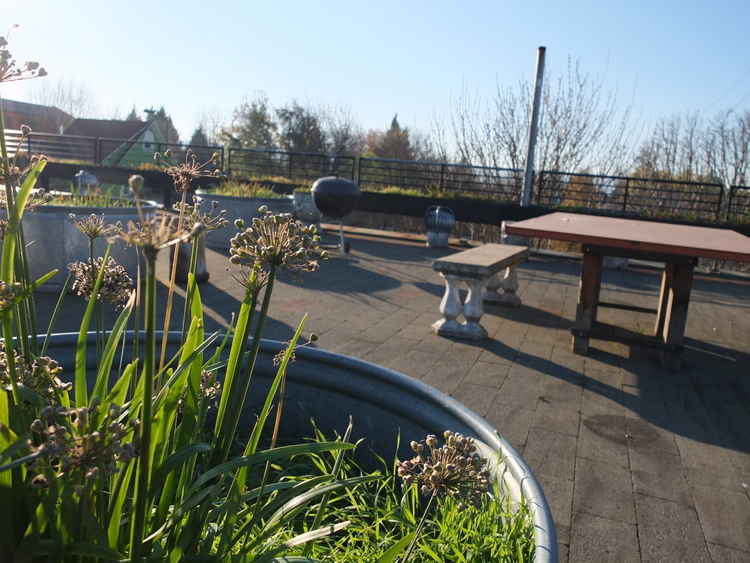 Two or More Memberships