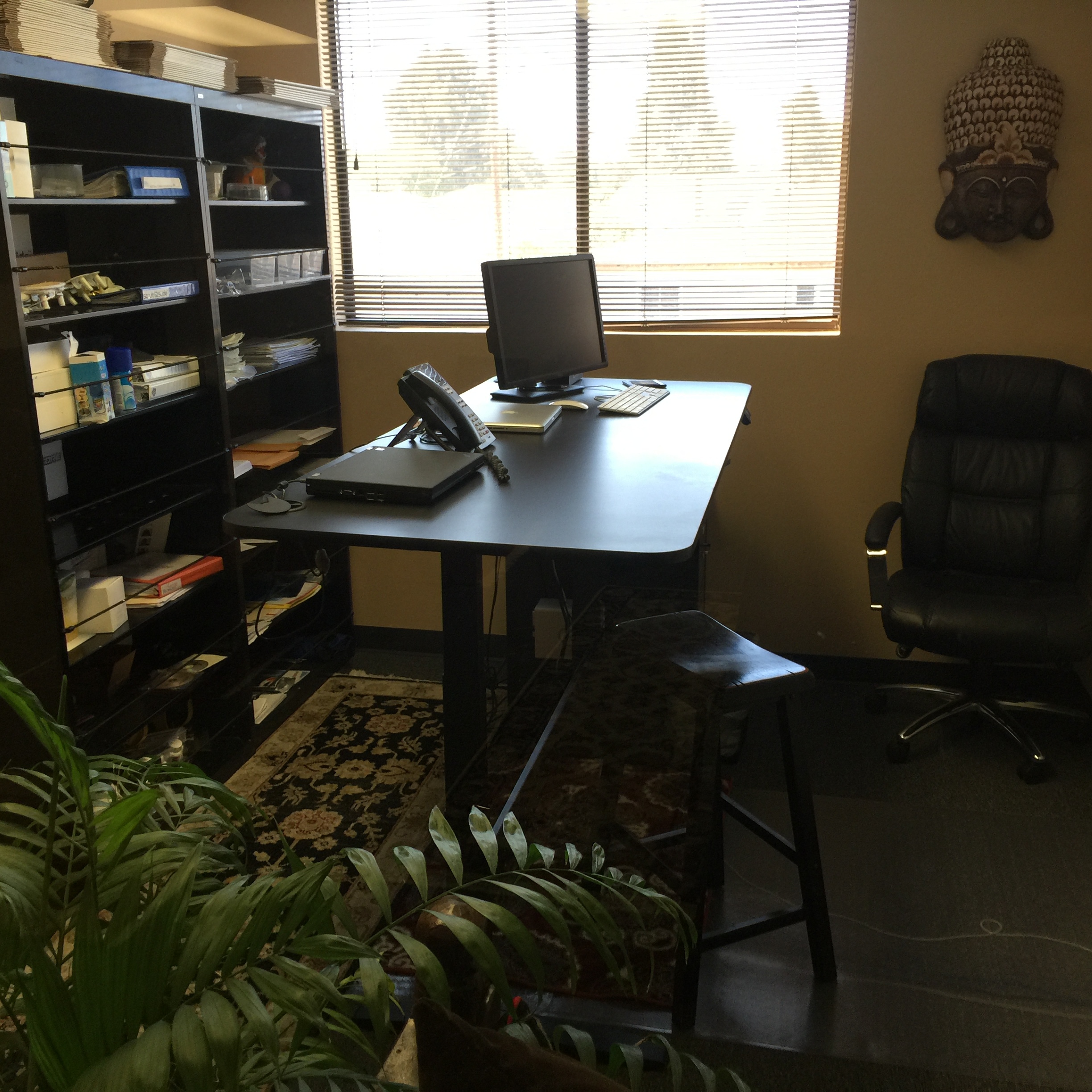 Professional Offices