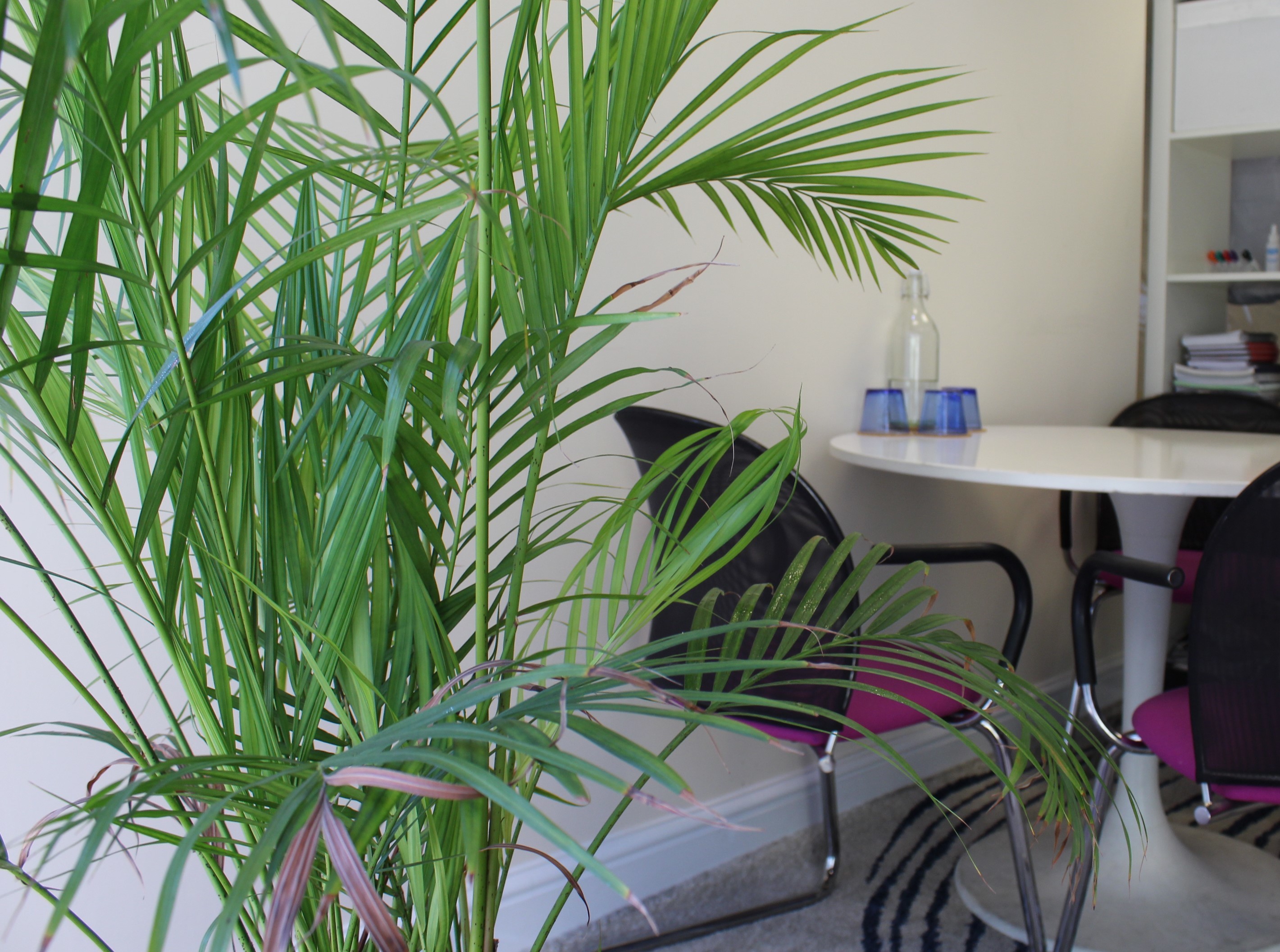 Desk for rent in lovely relaxed office - sharing with only 2 other people