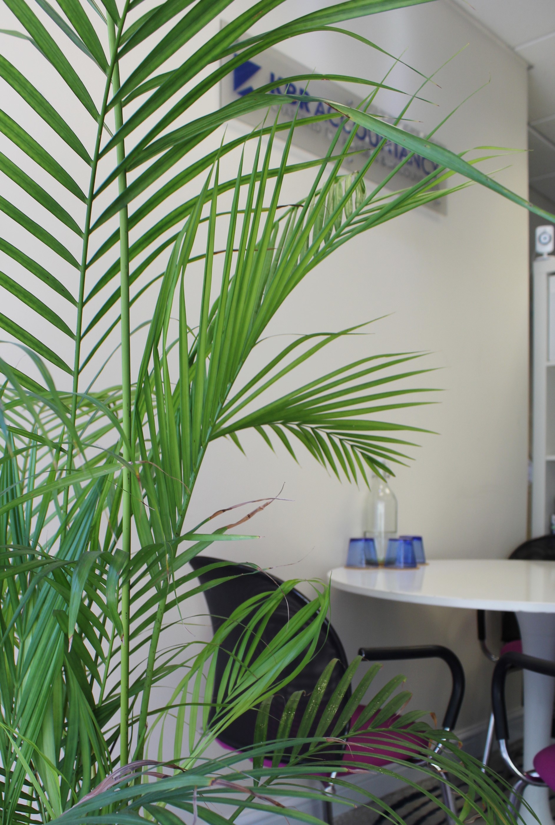 Desk for rent in lovely relaxed office - sharing with only 2 other people