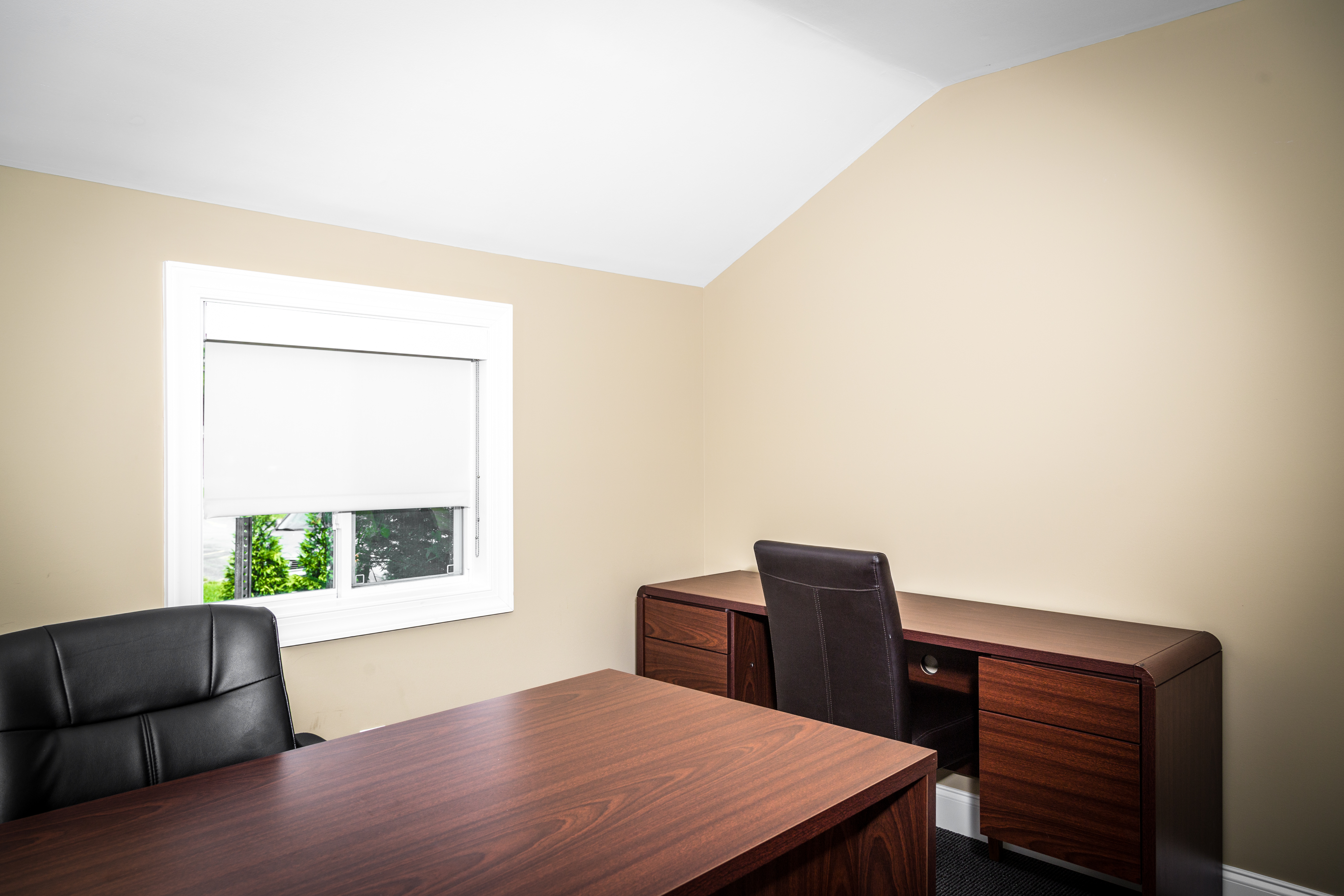 Comfortable Private Office