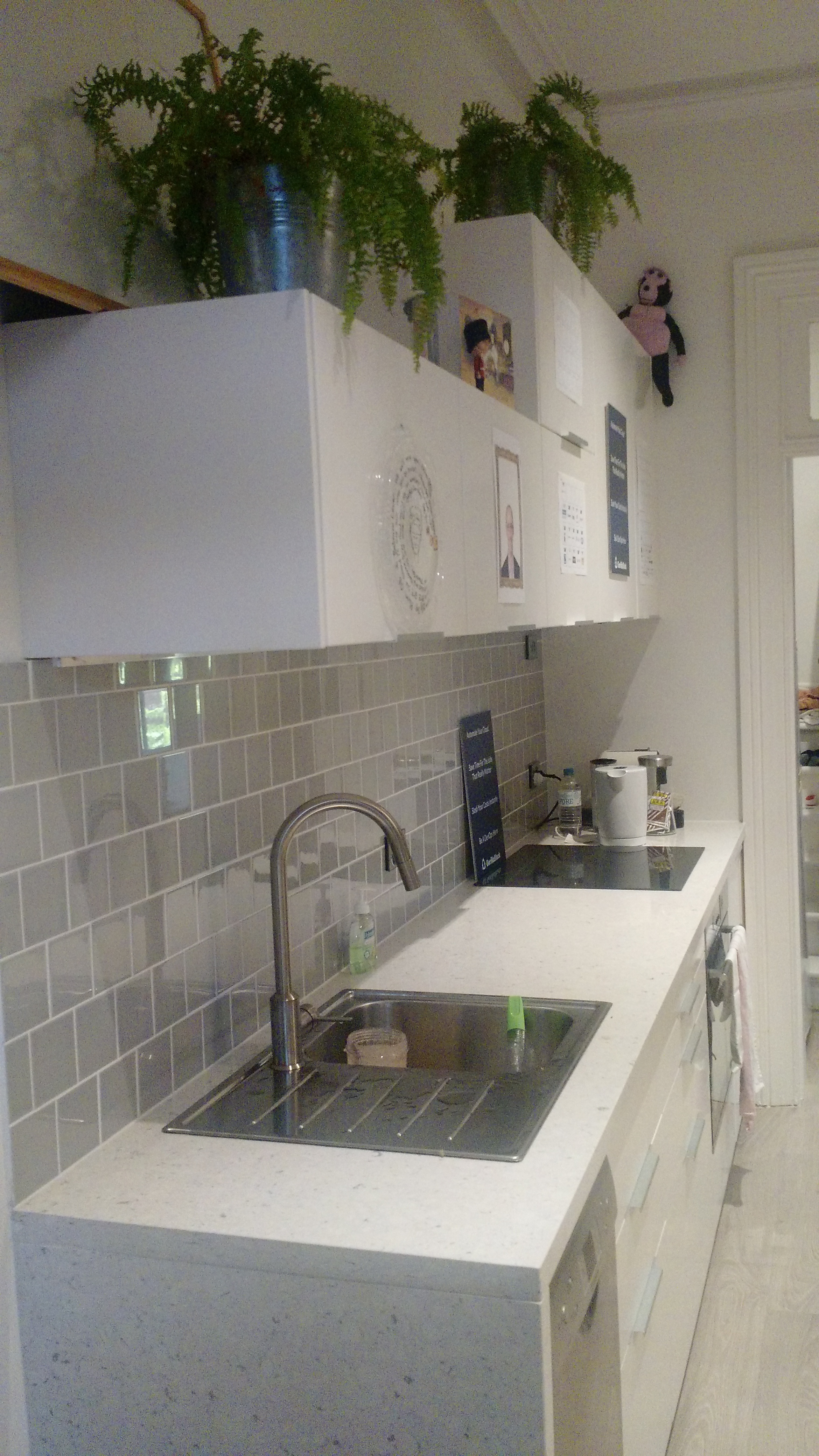 Creative work space with a growing startup