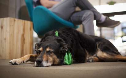 Conference Room Conference Room