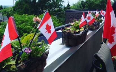 Dedicated desks. Shared office space. Big windows. Open concept. Decks with a view of the lake.