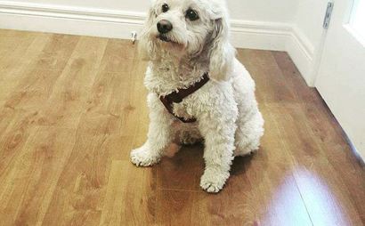 Dedicated desks. Shared office space. Big windows. Open concept. Decks with a view of the lake.