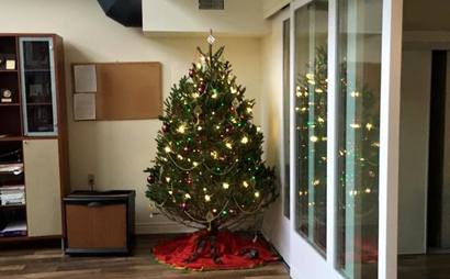 Dedicated desks. Shared office space. Big windows. Open concept. Decks with a view of the lake.