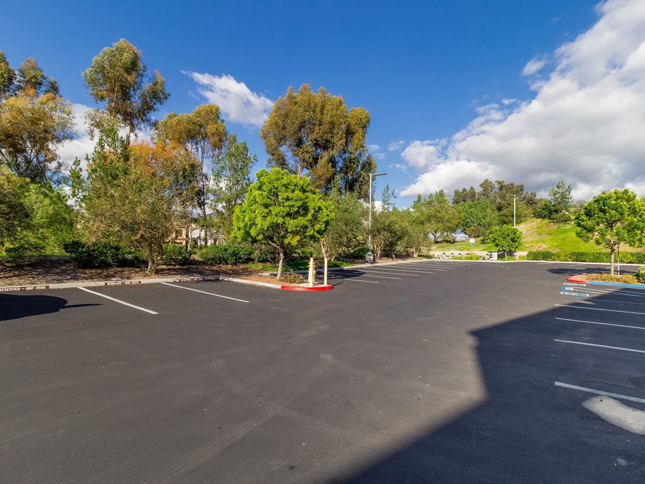 Executive Office Suites 