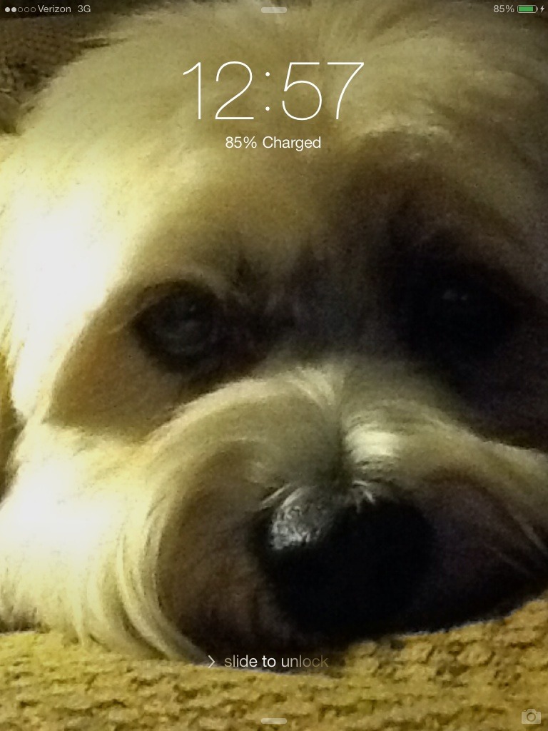 Midtown Building Offices