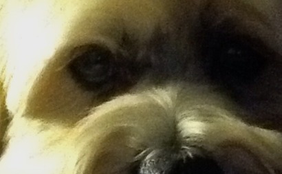 Midtown Building Offices Midtown Building Offices