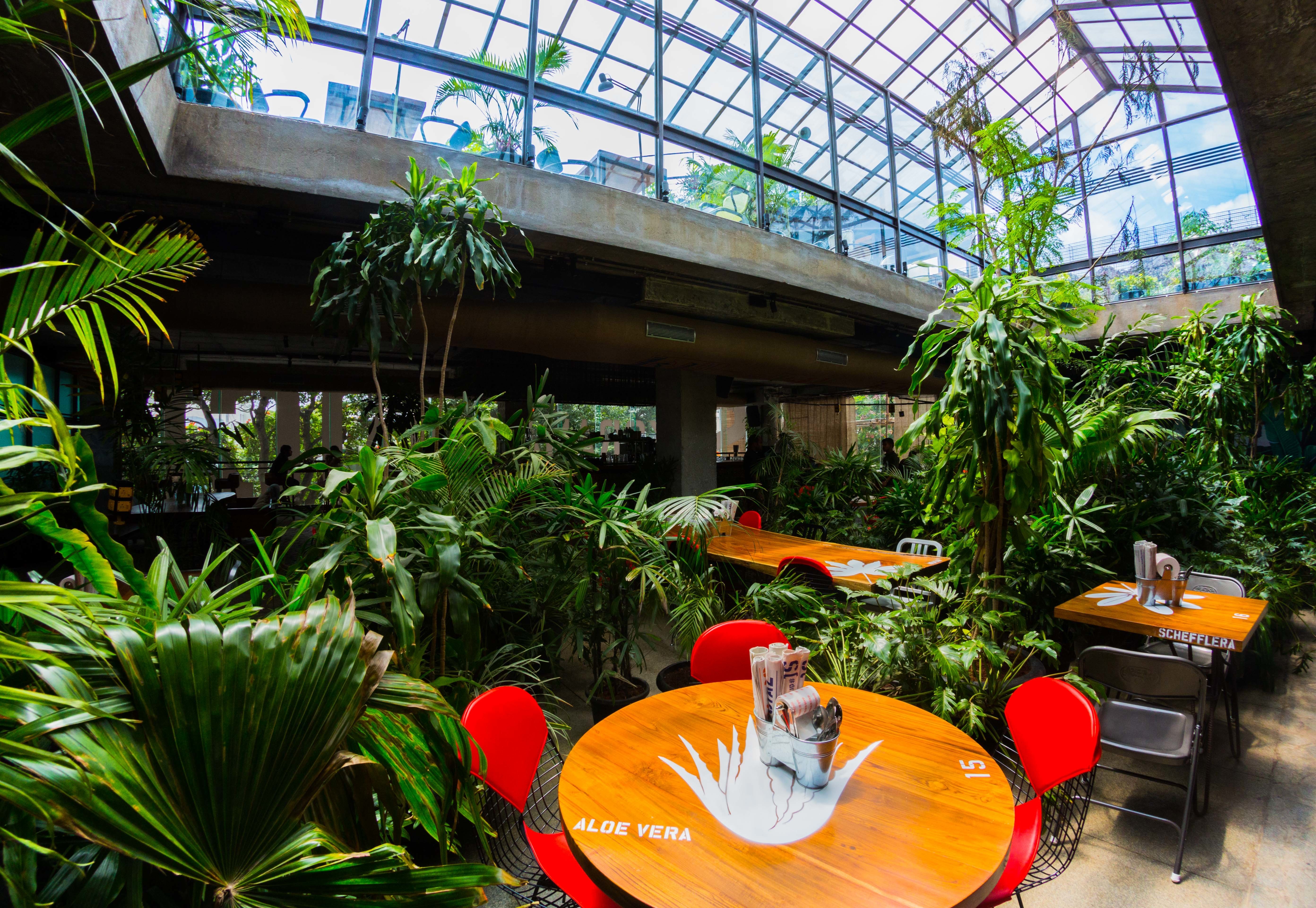 #WorkFromSocial — Koramangala Social