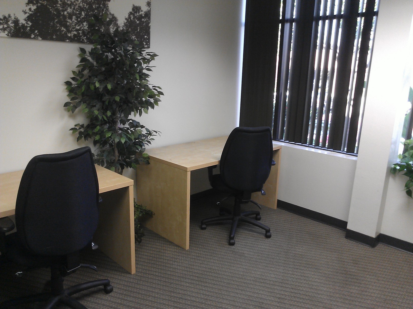 3 Person Private Office