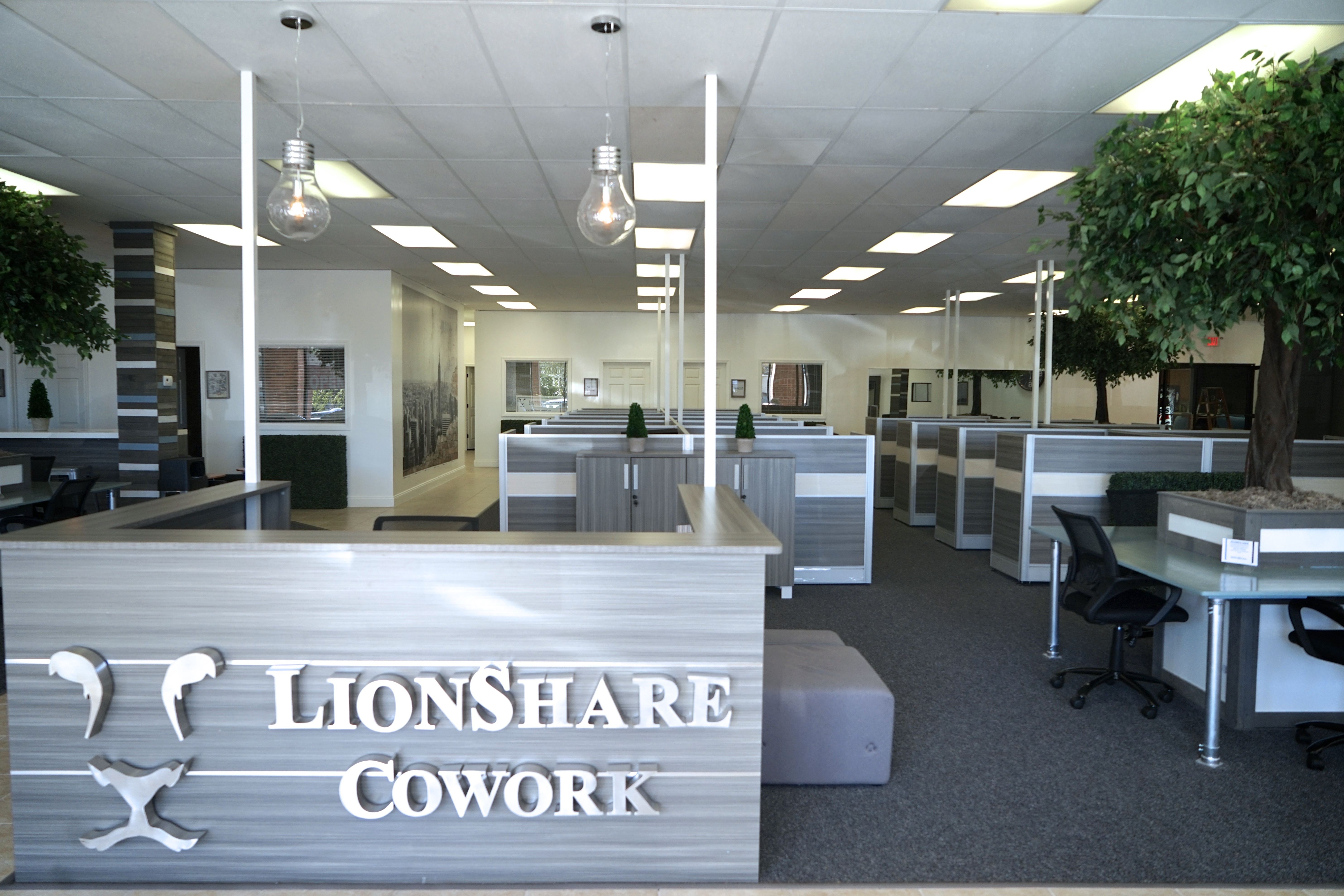Shared Desk - Coworking Shared Desk - Coworking