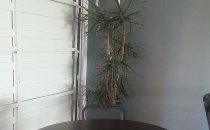 Open Space/or Cubicle Setup