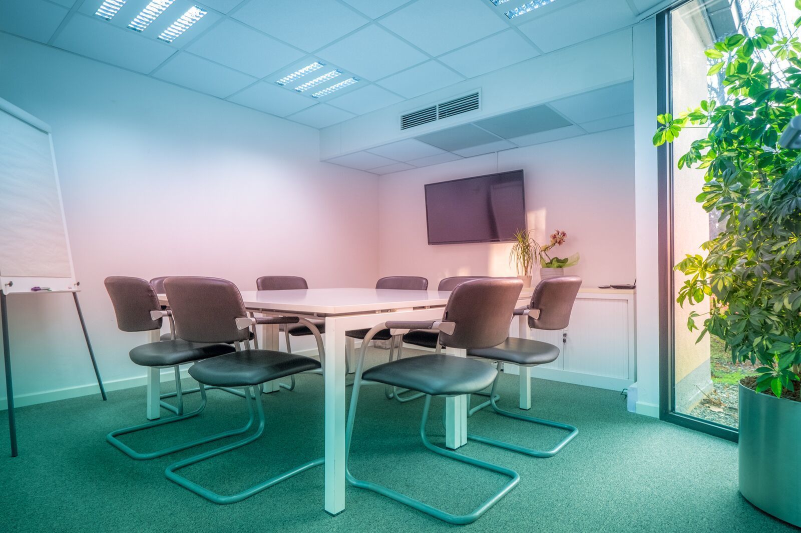 Meeting Rooms Meeting Rooms