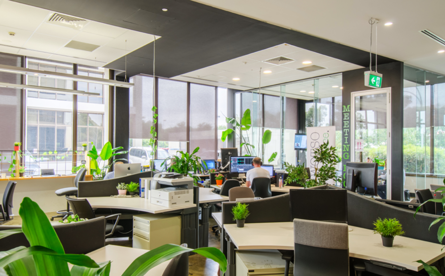 Co Working