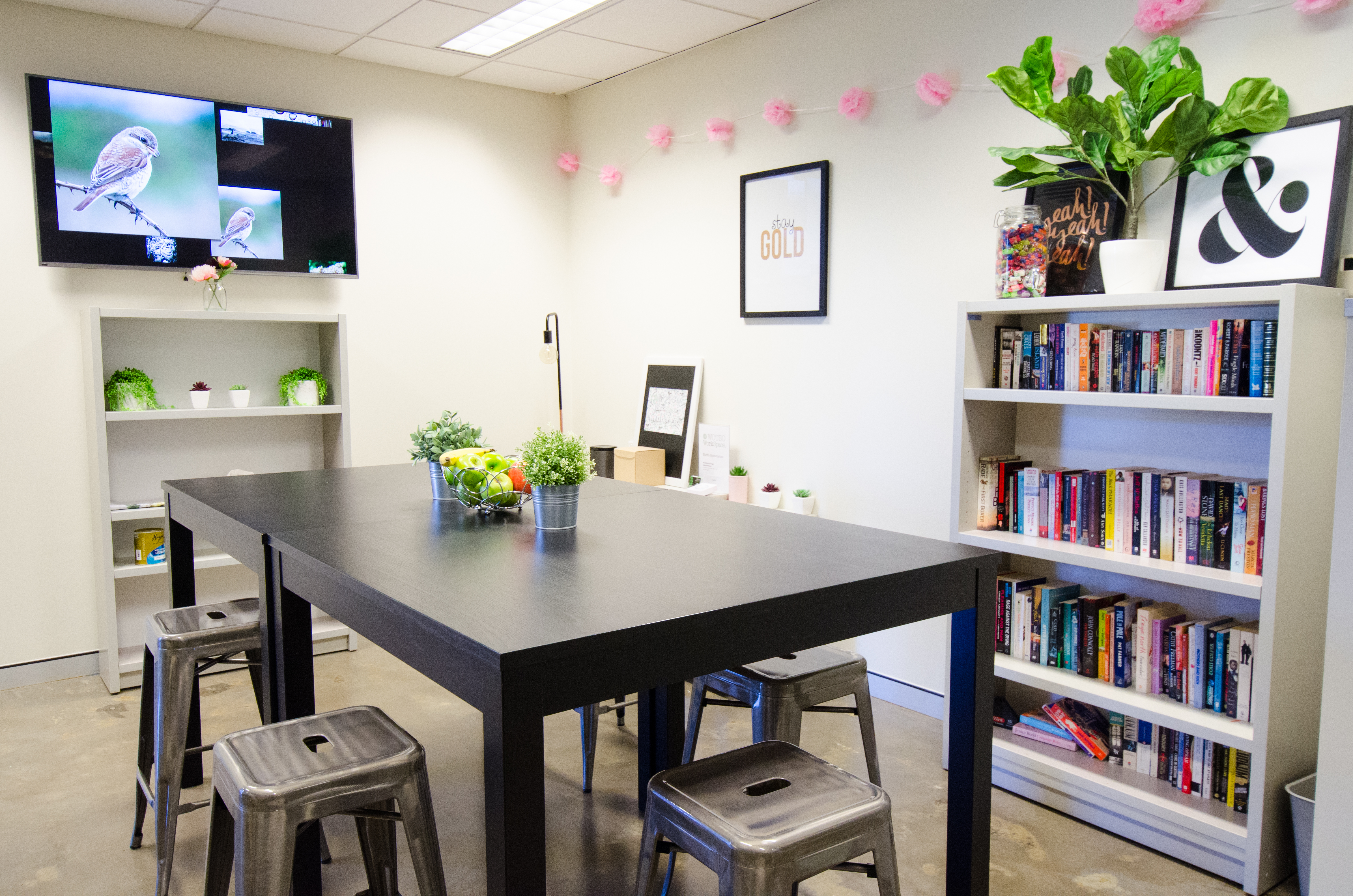 Co Working in Symonston!