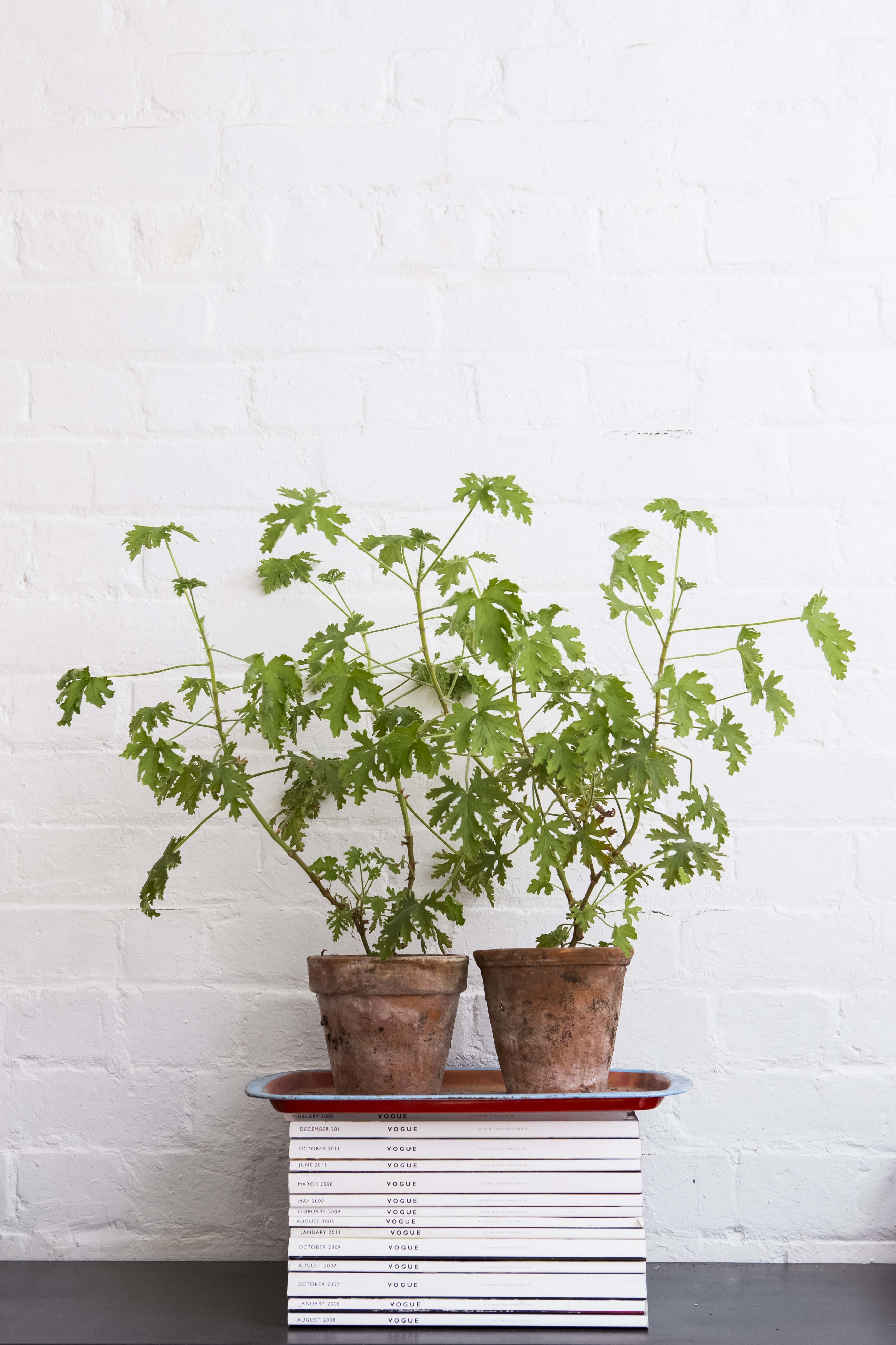 Desks at Winkley Studios