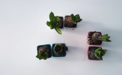 Fixed Desk Fixed Desk