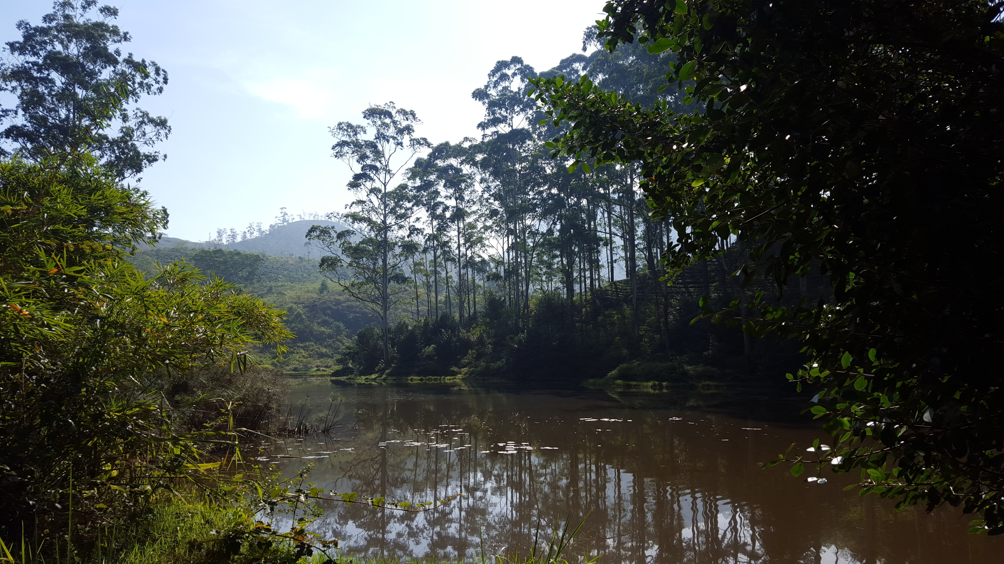 Startup working space (Studio)