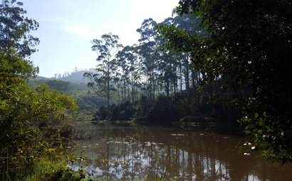 Startup working space (Studio) Startup working space (Studio)