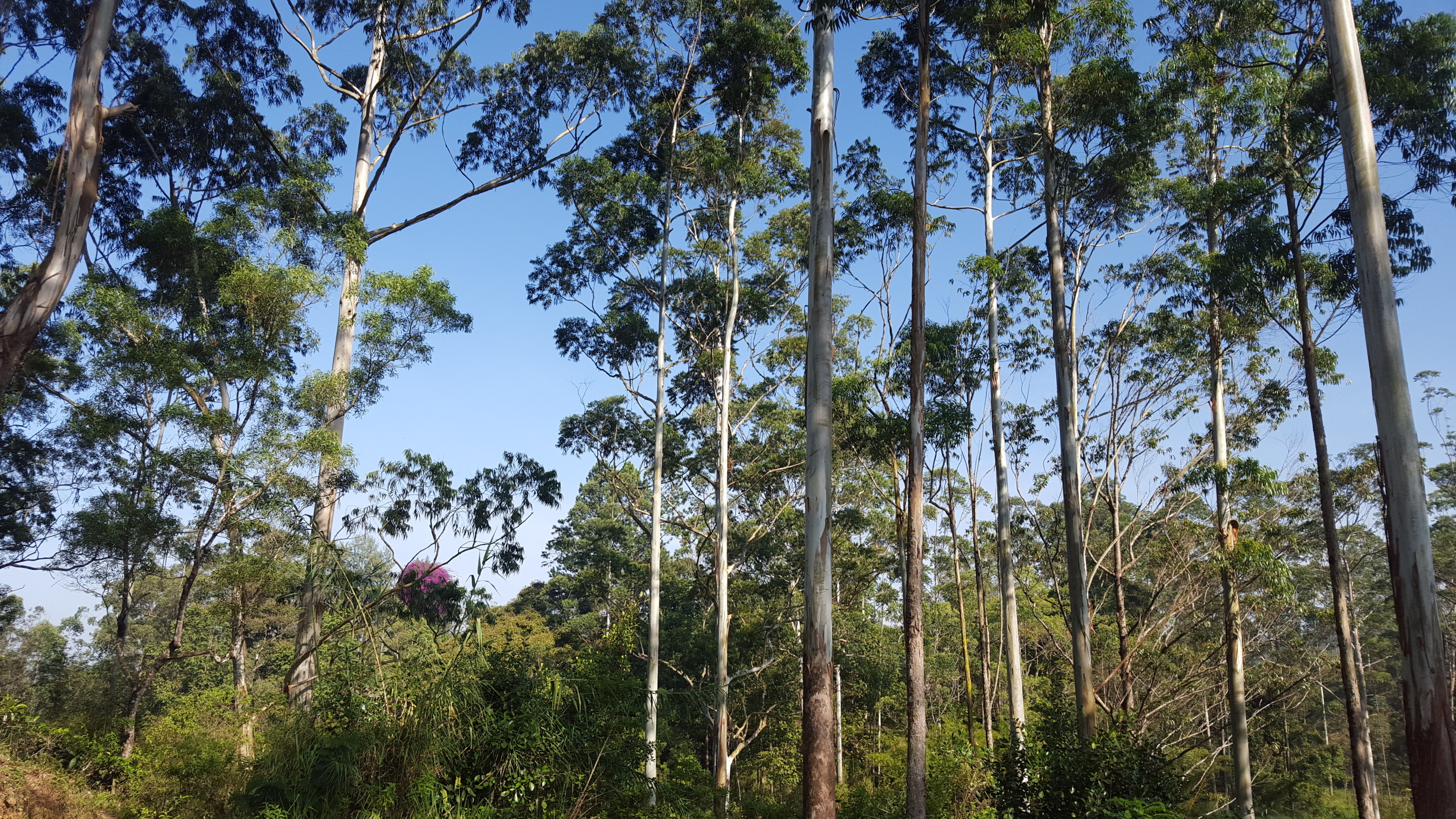 Startup working space (Studio)