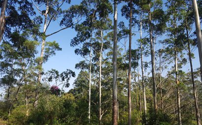 Startup working space (Studio) Startup working space (Studio)