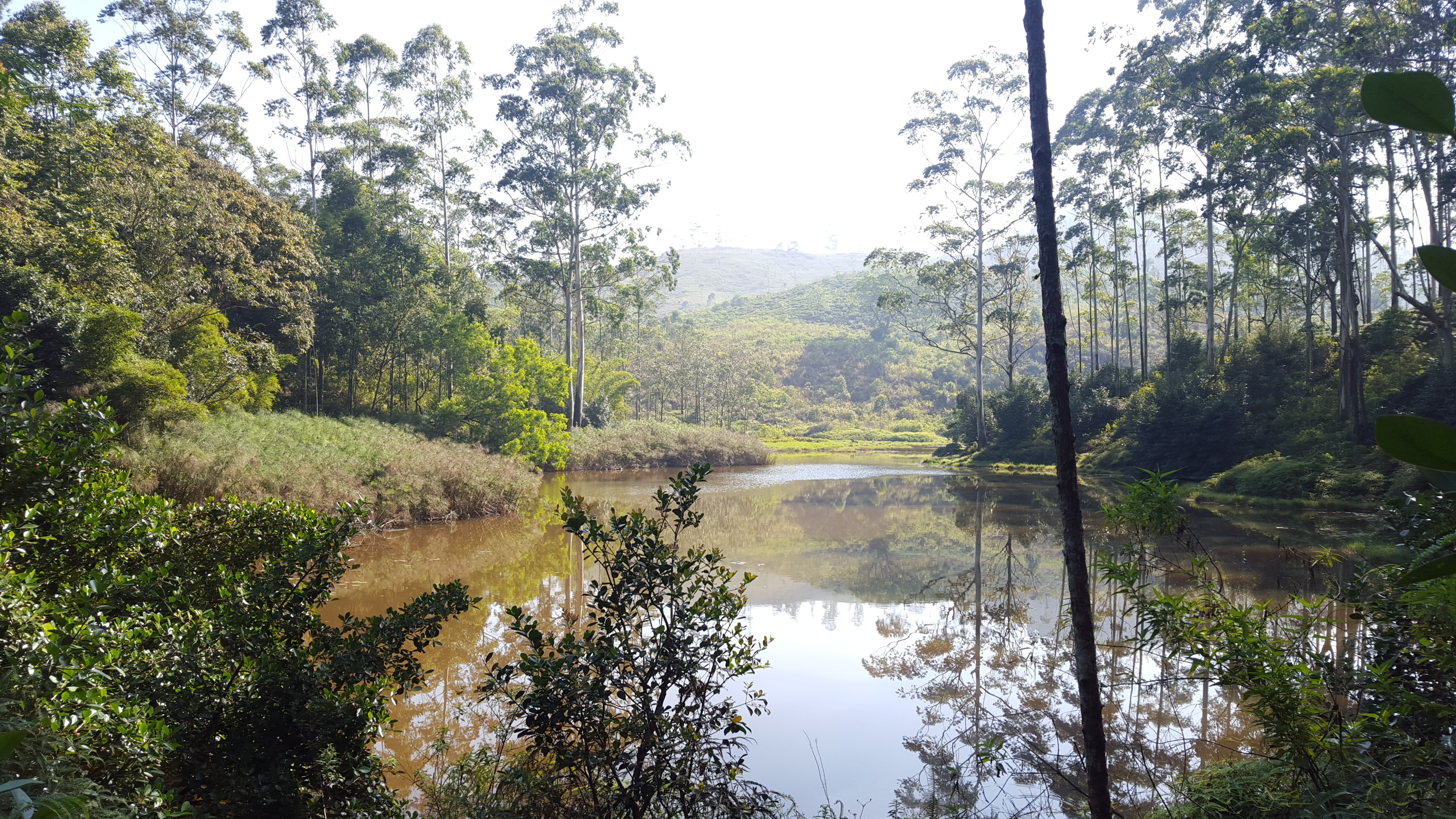 Startup working space (Studio)