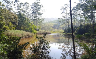 Startup working space (Studio) Startup working space (Studio)